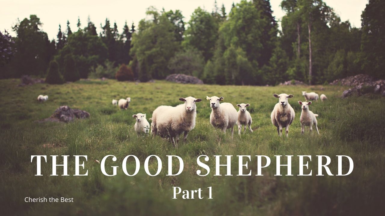 The Good Shepherd Part 1 - Cherish the Best