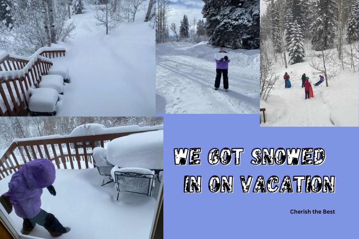 We got Snowed in on Vacation - Cherish the Best